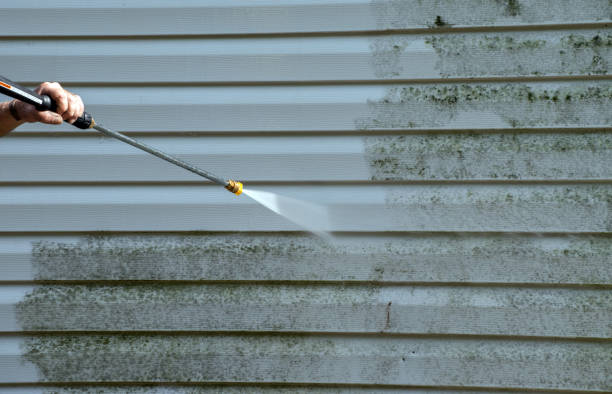 Best House Pressure Washing  in West Mountain, UT